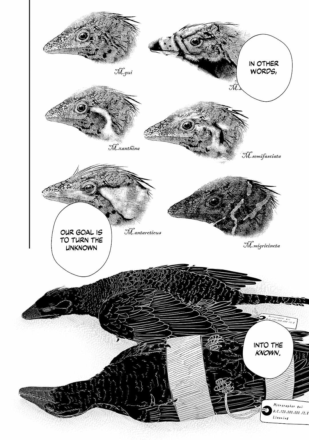 A 600-Million-Year Natural History Journey Chapter 1 - Page 9