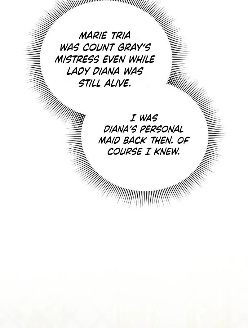A Revenge Guide for the Terminally Ill Maid Chapter 24 - Page 67