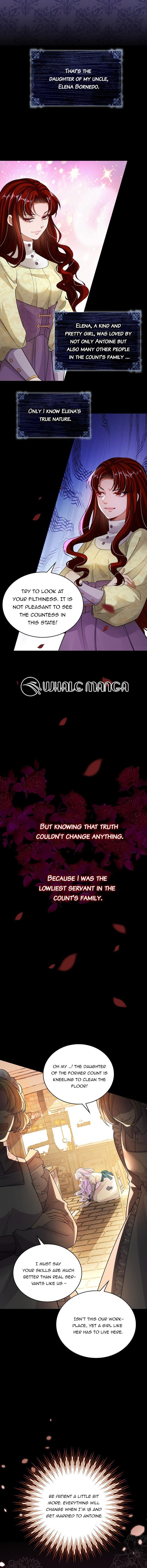 A Thousand Ways For Her to Take Revenge Chapter 1 - Page 9