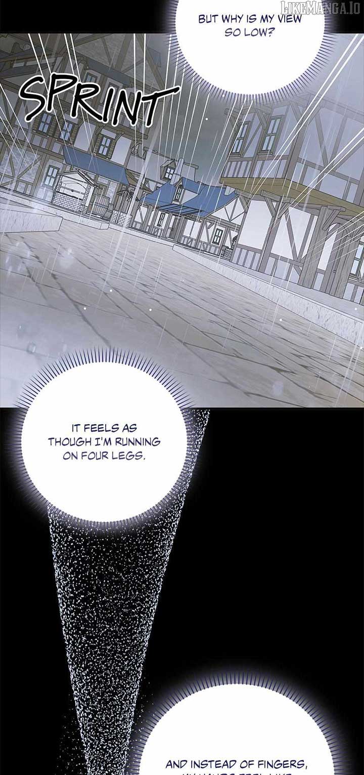 A Way to Protect the Lovable You Chapter 159 - Page 71