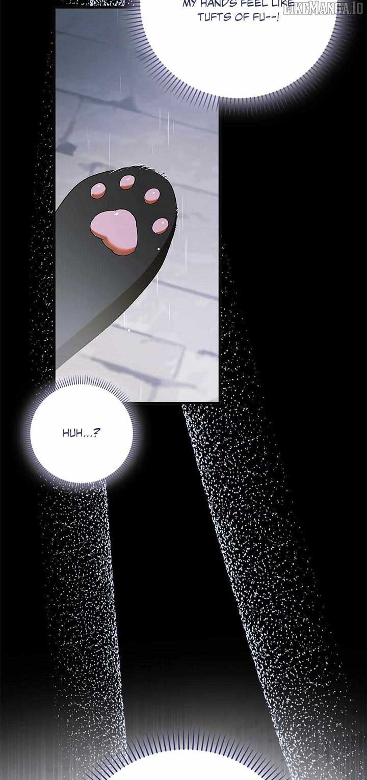 A Way to Protect the Lovable You Chapter 159 - Page 72