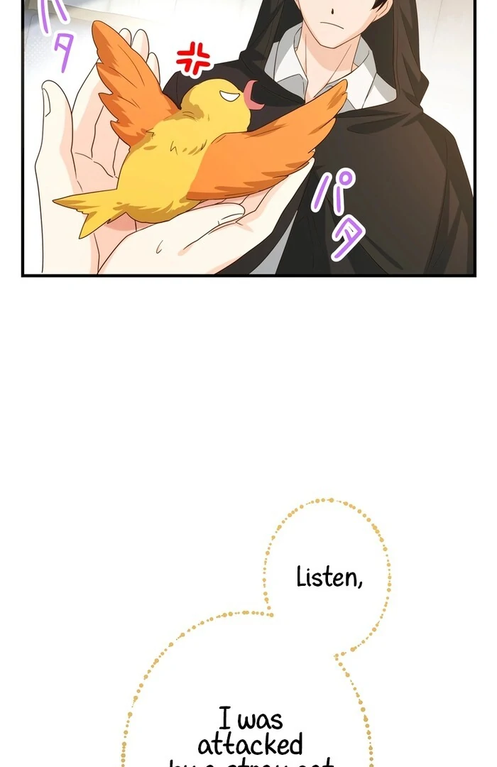 Adored By the Beast That Killed the King Chapter 11 - Page 34
