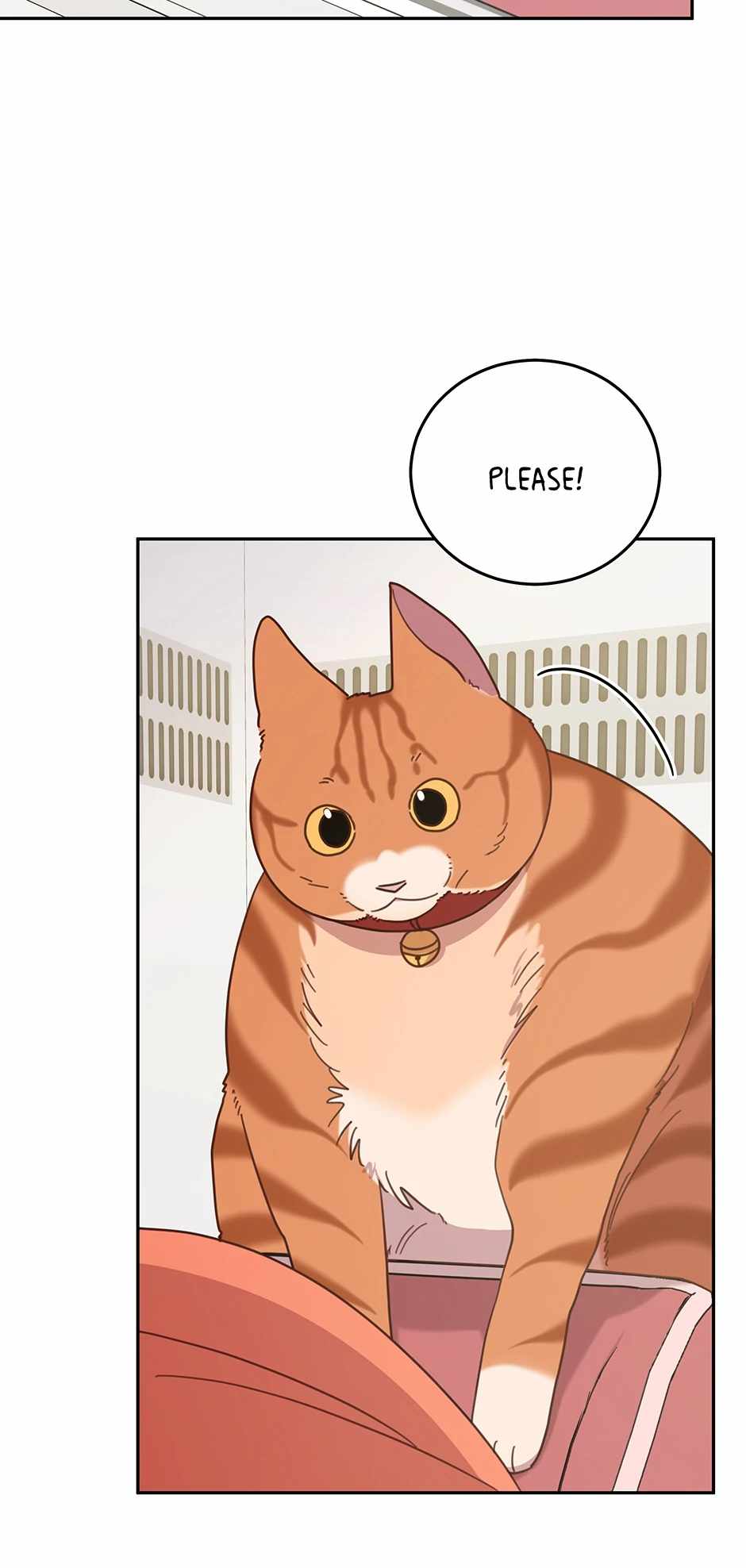 An Animal Hospital in the Border Area Chapter 146 - Page 6