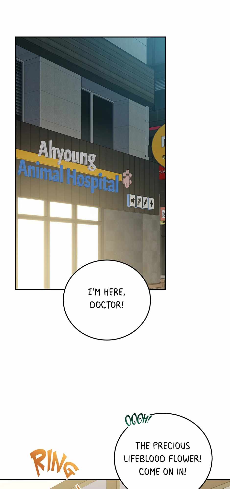 An Animal Hospital in the Border Area Chapter 148 - Page 40