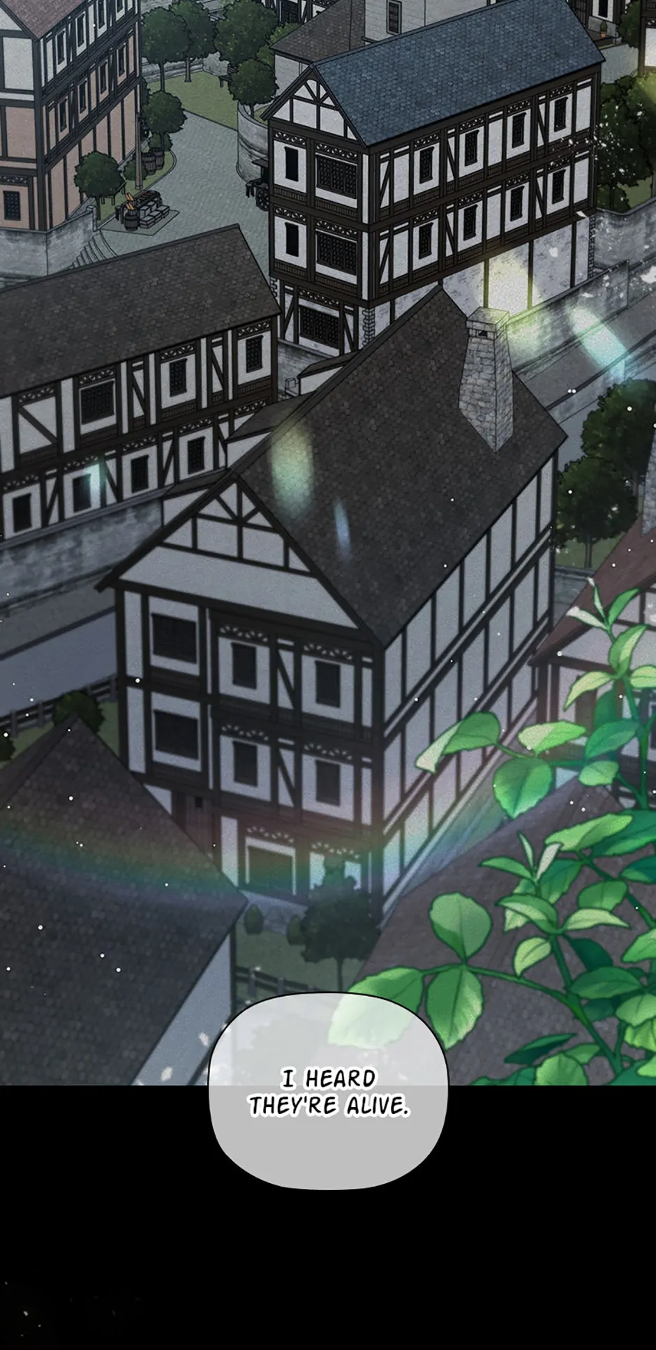 An Extra in the Family Is the First to Be Abandoned Chapter 118 - Page 1