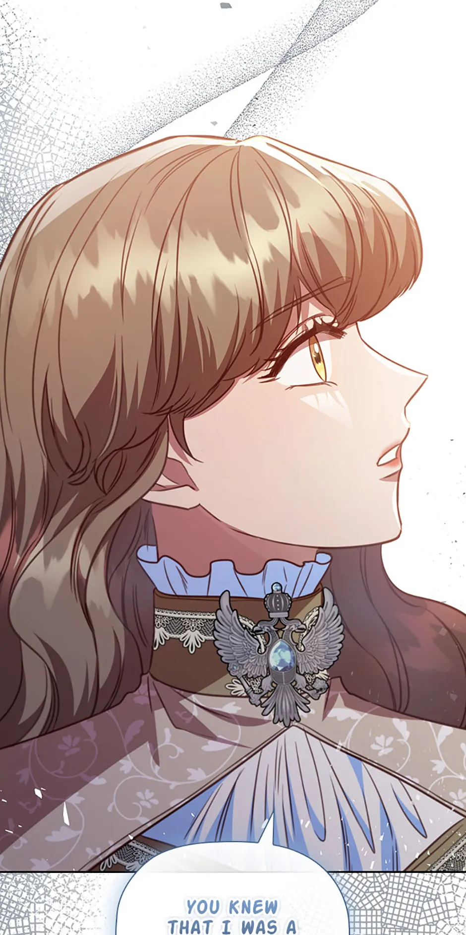An Extra in the Family Is the First to Be Abandoned Chapter 118 - Page 69