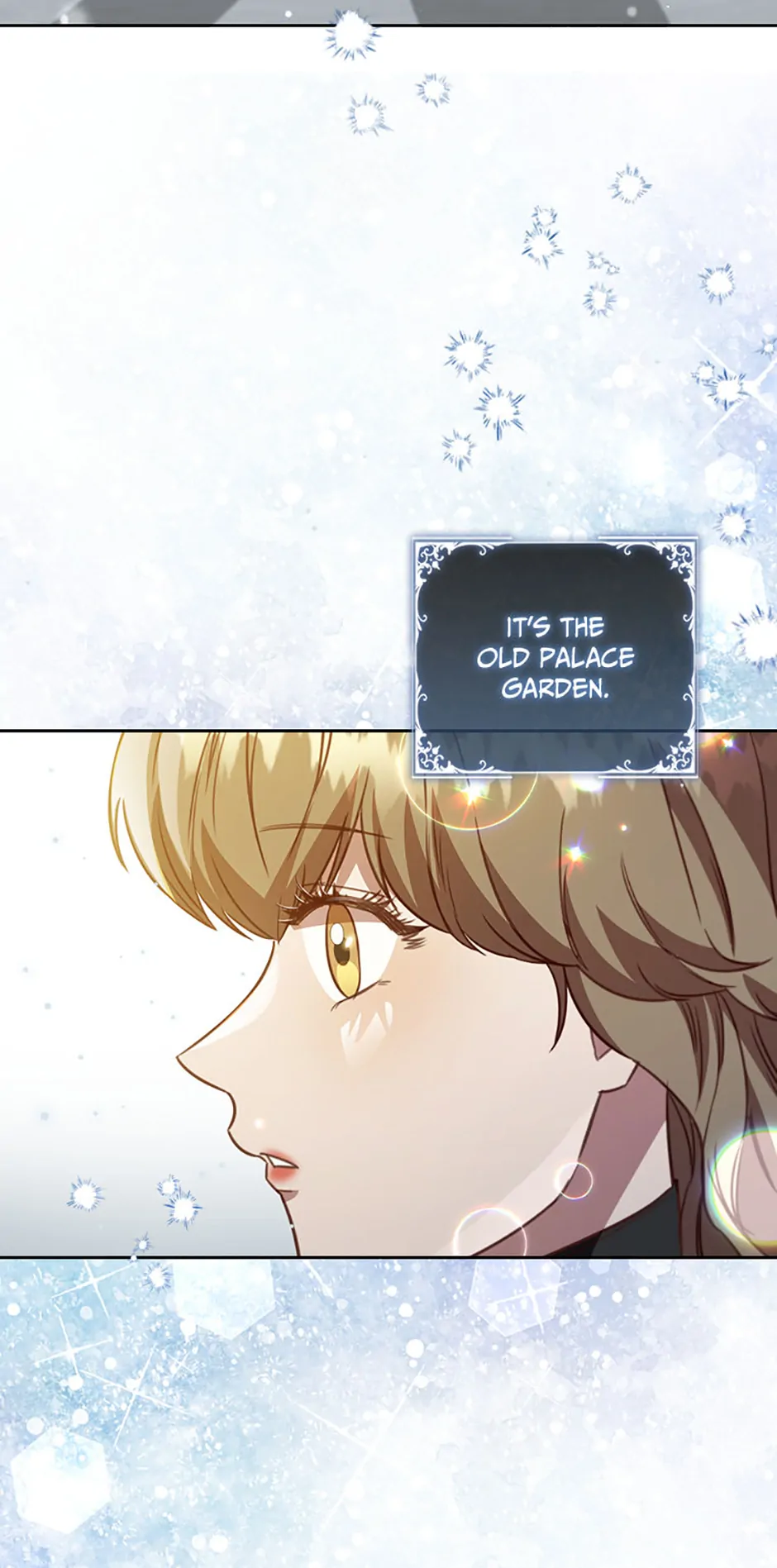 An Extra in the Family Is the First to Be Abandoned Chapter 120 - Page 2
