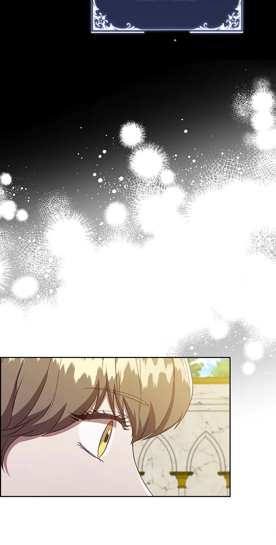 An Extra in the Family Is the First to Be Abandoned Chapter 94 - Page 9