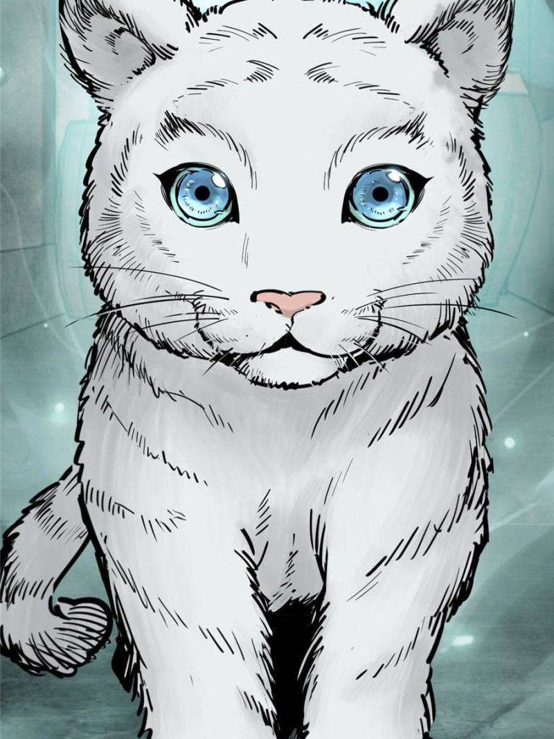 Another Beginning With the Guhuo Bird Chapter 113 - Page 79