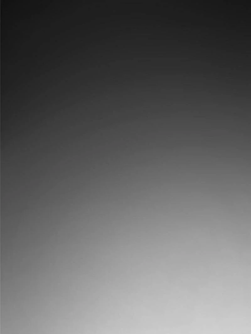 Another Beginning With the Guhuo Bird Chapter 124 - Page 83
