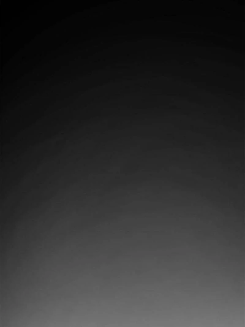 Another Beginning With the Guhuo Bird Chapter 234 - Page 31
