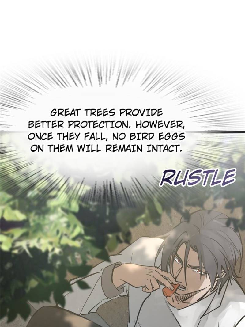 Another Beginning With the Guhuo Bird Chapter 248 - Page 25