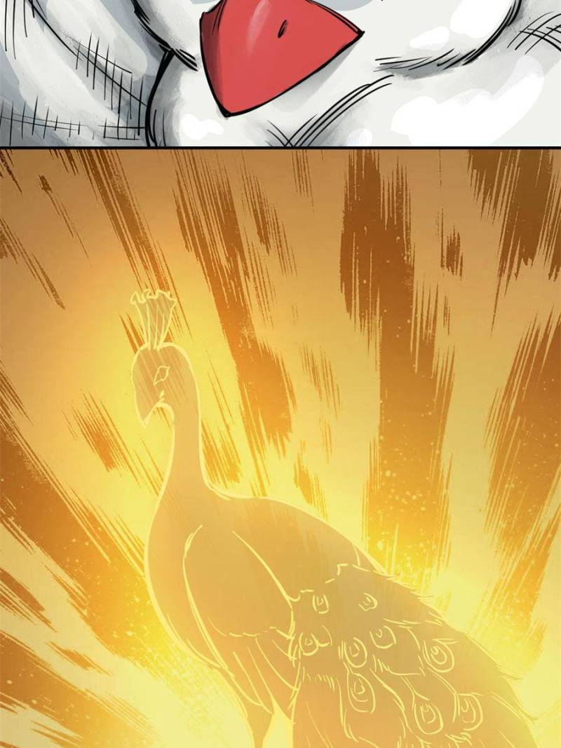 Another Beginning With the Guhuo Bird Chapter 71 - Page 17