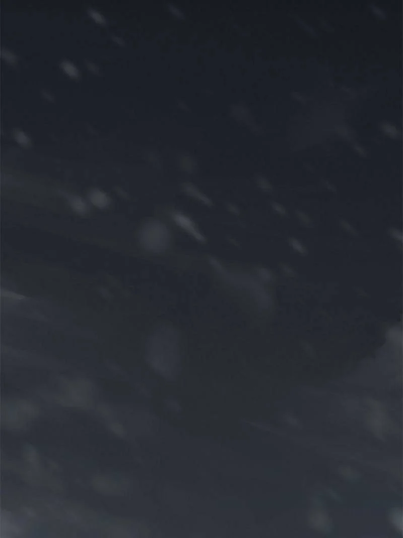 Another Beginning With the Guhuo Bird Chapter 74 - Page 47