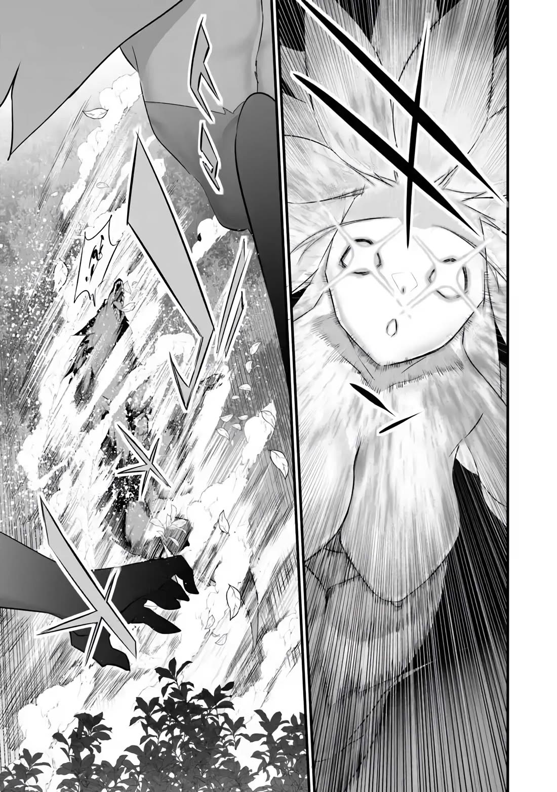 Another World Survival: Min-maxing my Support and Summoning Magic Chapter 36 - Page 2