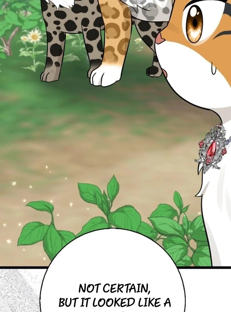 Anyone Can See It’s a Beast Chapter 30 - Page 141