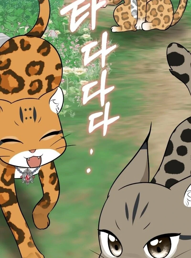 Anyone Can See It’s a Beast Chapter 30 - Page 152