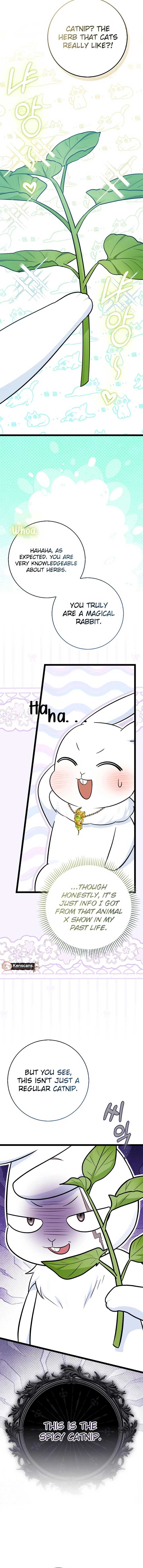Anyone Can See It’s a Beast Chapter 31 - Page 16