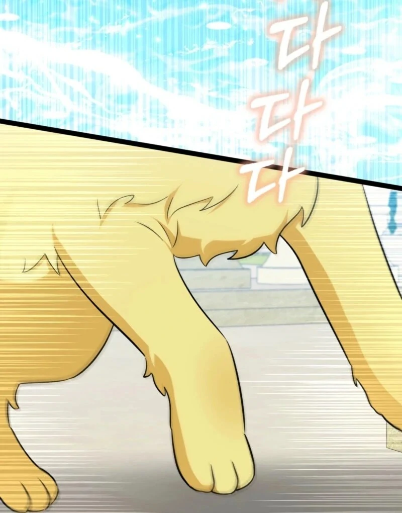 Anyone Can See It’s a Beast Chapter 37 - Page 14