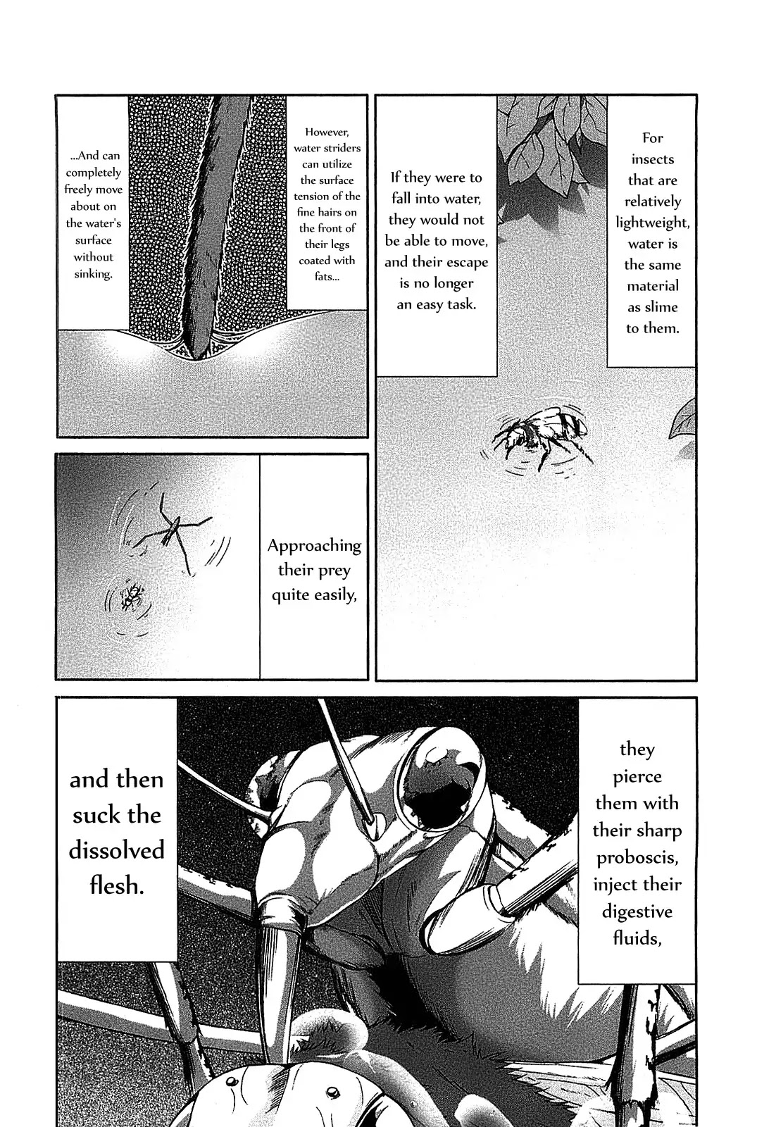 Arachnid Chapter 19 - Page 33