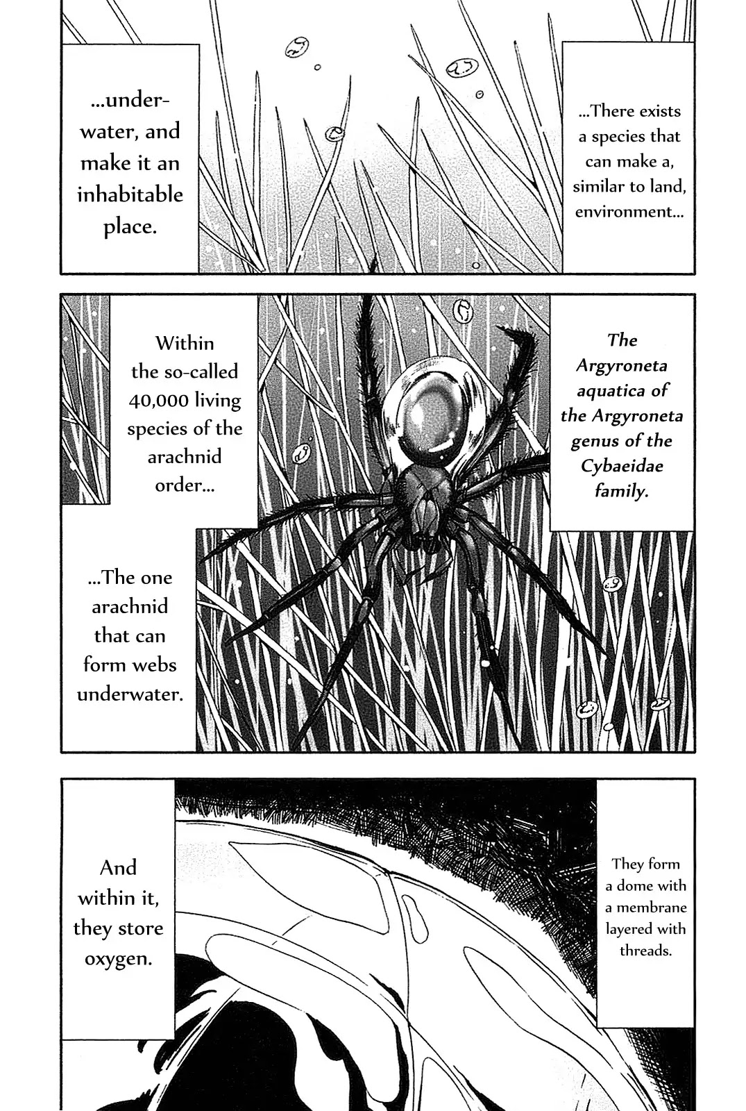 Arachnid Chapter 20 - Page 13