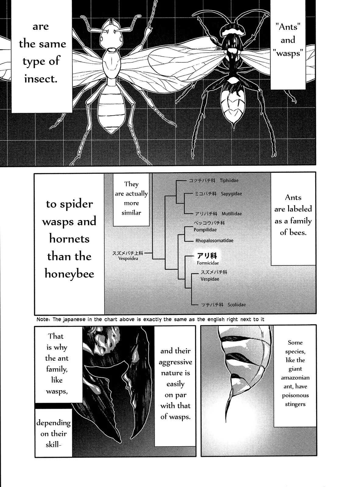 Arachnid Chapter 46 - Page 13