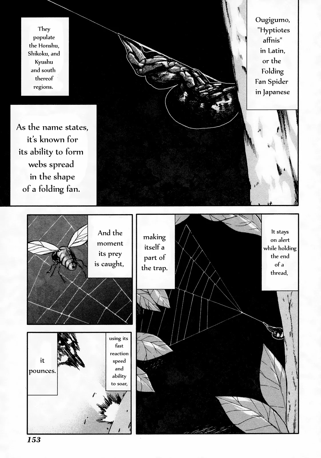 Arachnid Chapter 49 - Page 13