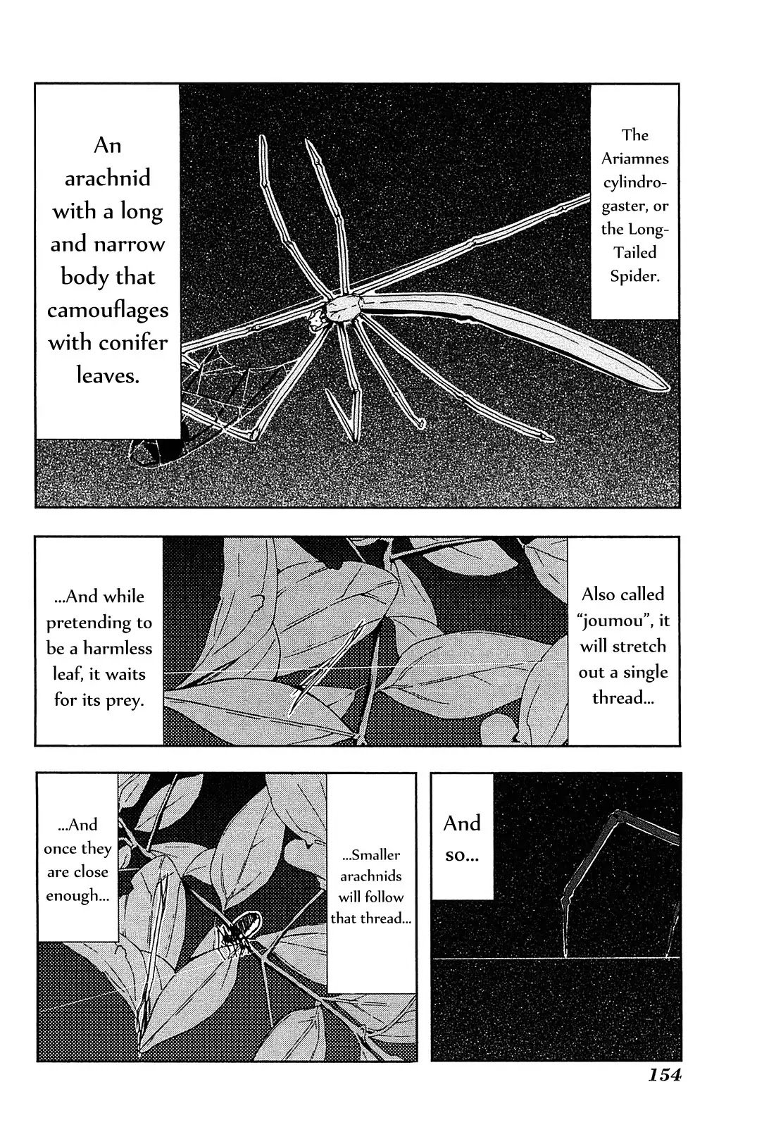 Arachnid Chapter 5 - Page 4