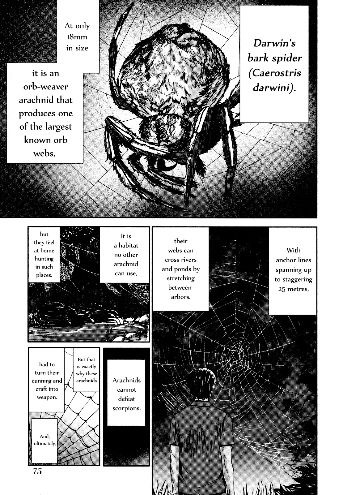 Arachnid Chapter 57 - Page 10