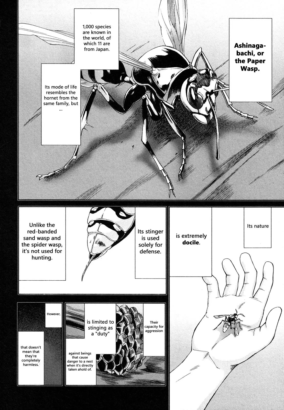 Arachnid Chapter 64 - Page 22