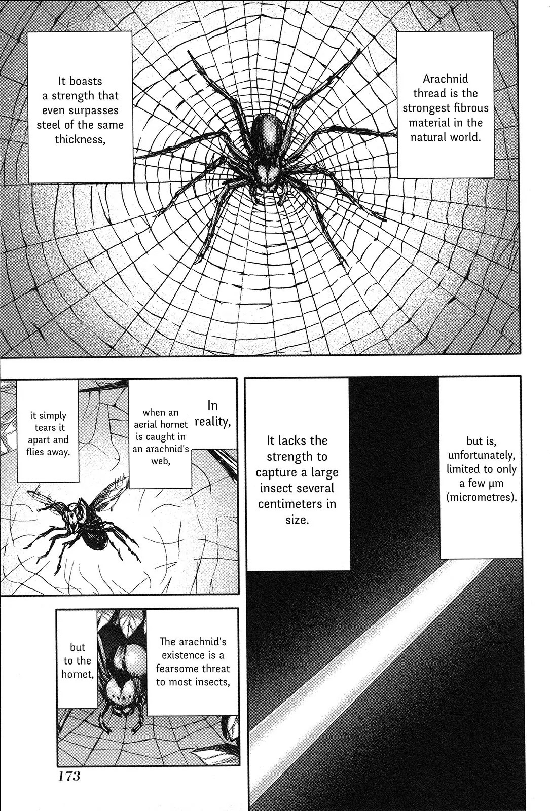 Arachnid Chapter 66 - Page 3