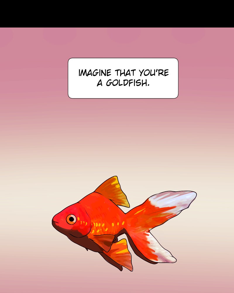 Ark of the Law Chapter 172 - Page 87