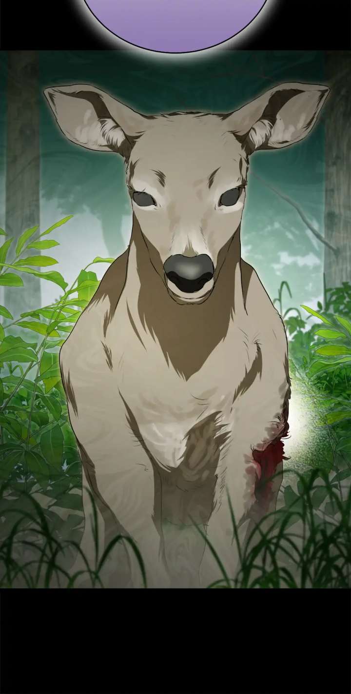 At the End of the Hidden Greenery Chapter 50 - Page 29