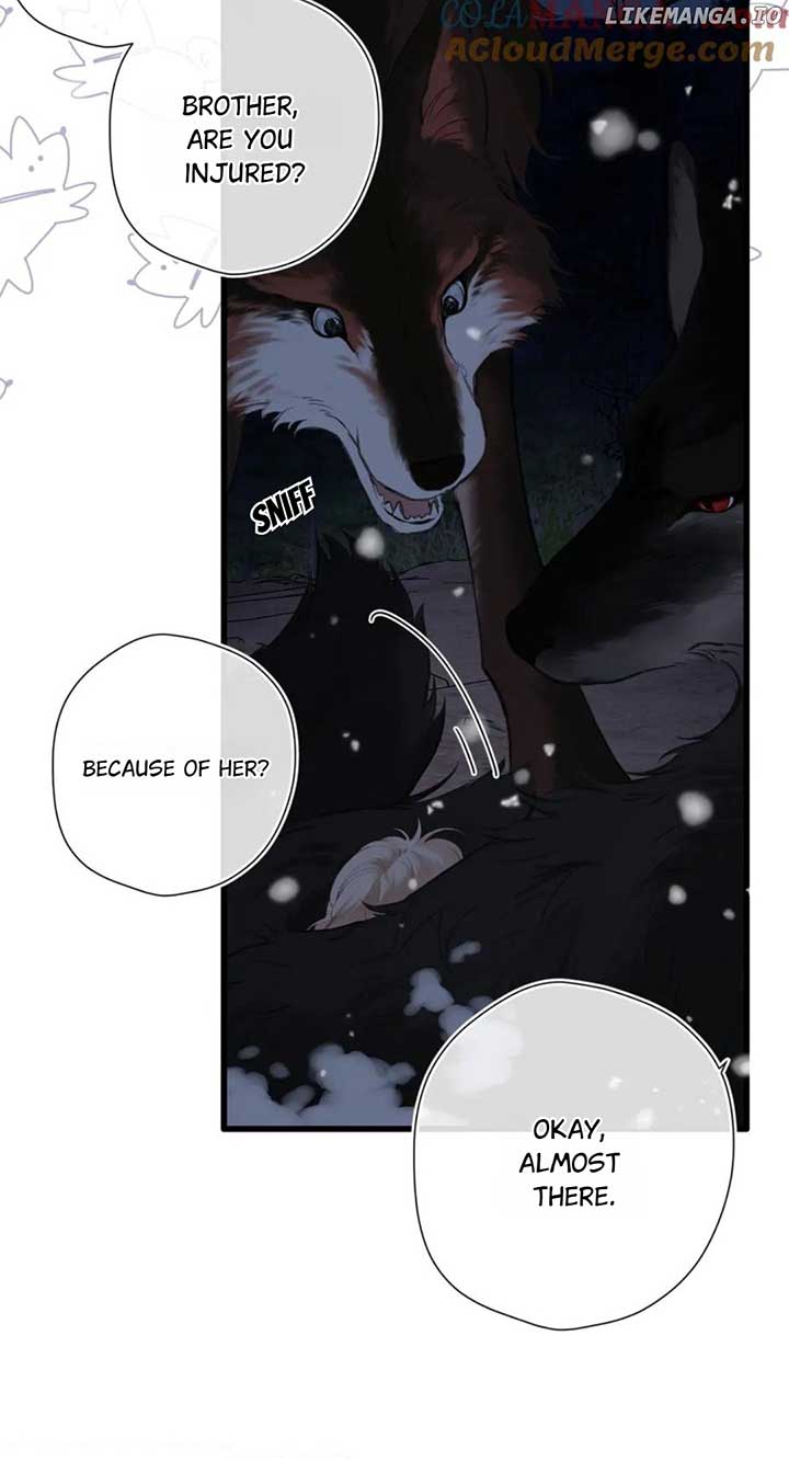 Back to Spring Chapter 25 - Page 3