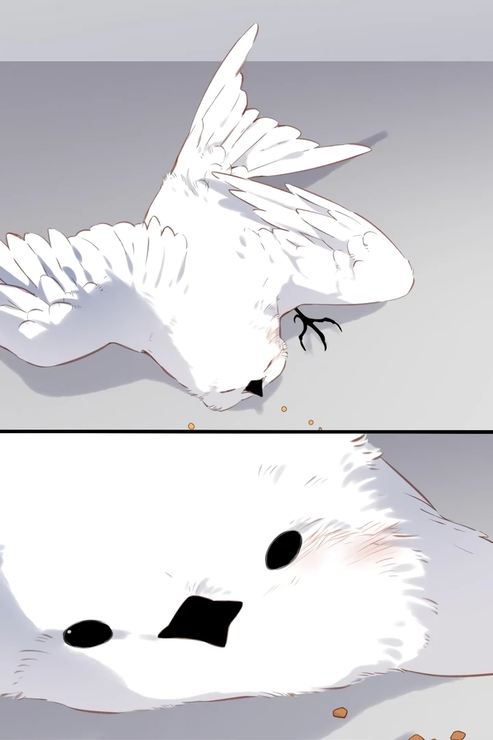 Back to Spring Chapter 32 - Page 44