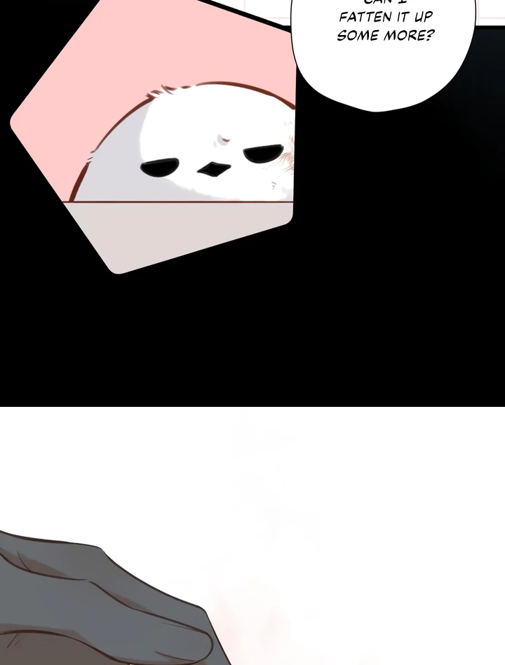 Back to Spring Chapter 32 - Page 49