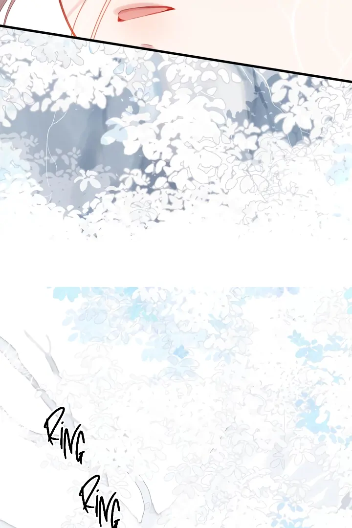 Back to Spring Chapter 36 - Page 14