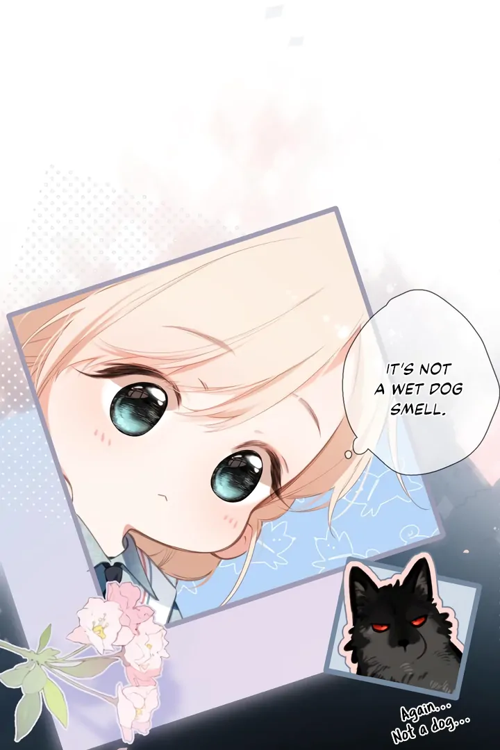 Back to Spring Chapter 44 - Page 12