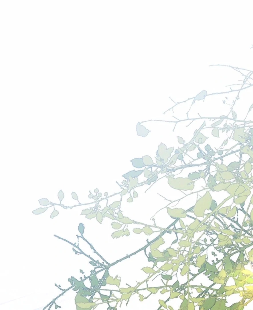 Beneath the Lady’s Mask Chapter 76 - Page 46