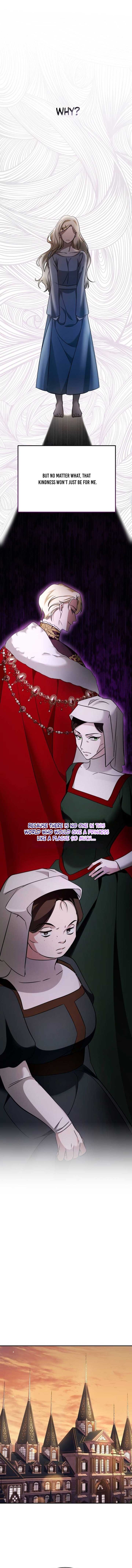 Beneath the Surviving Princess Joyful Facade Chapter 12 - Page 17
