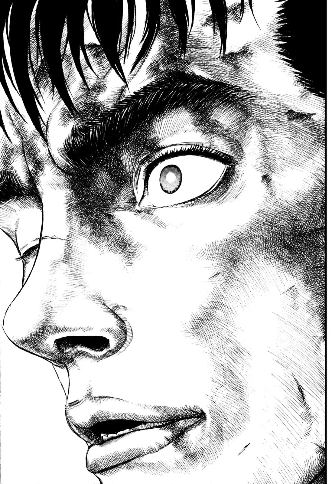 Berserk Chapter 175 - Page 2