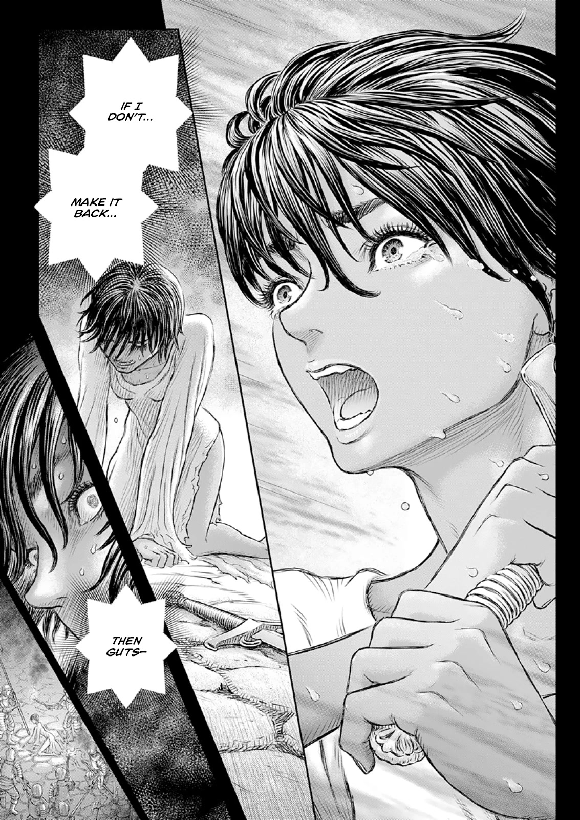 Berserk Chapter 372 - Page 18