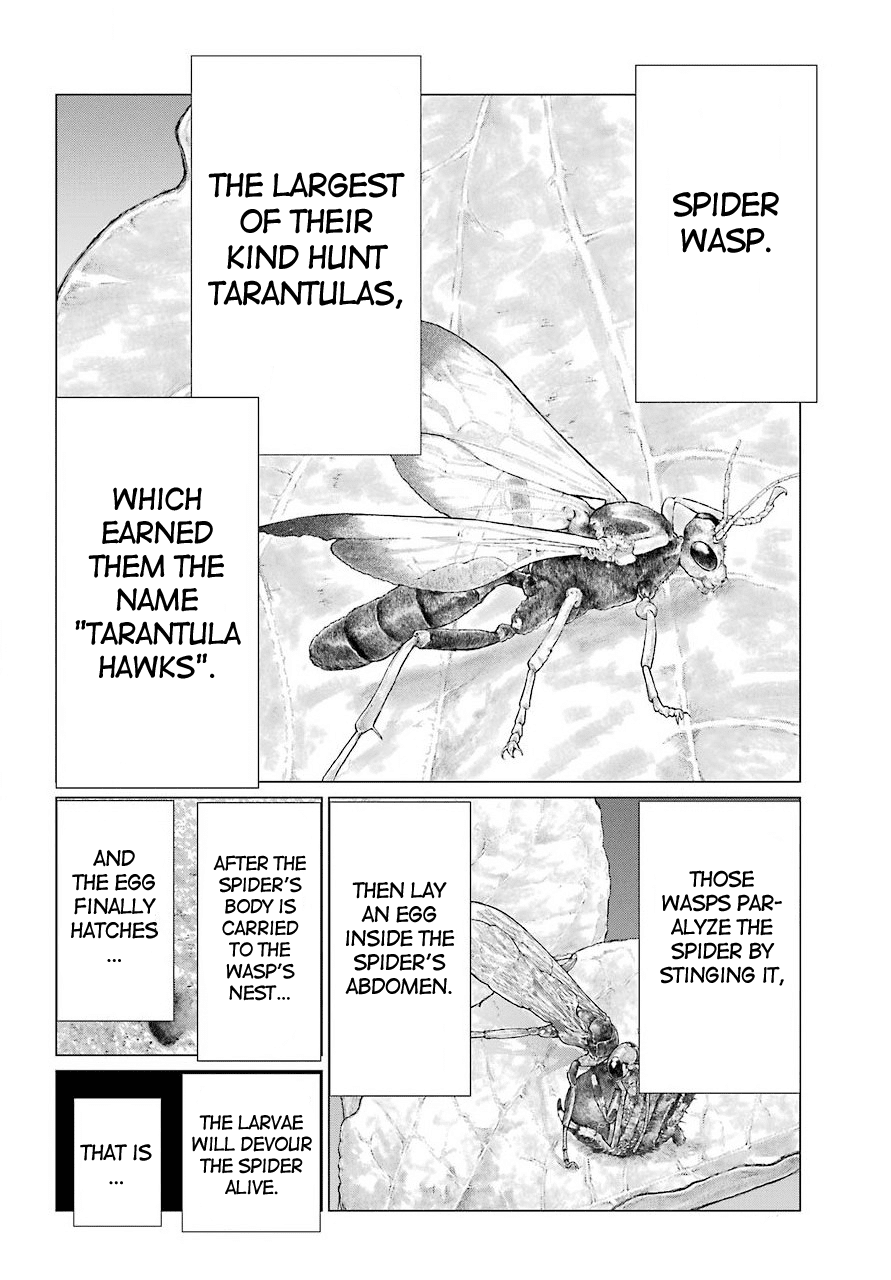 Blattodea Chapter 10 - Page 19