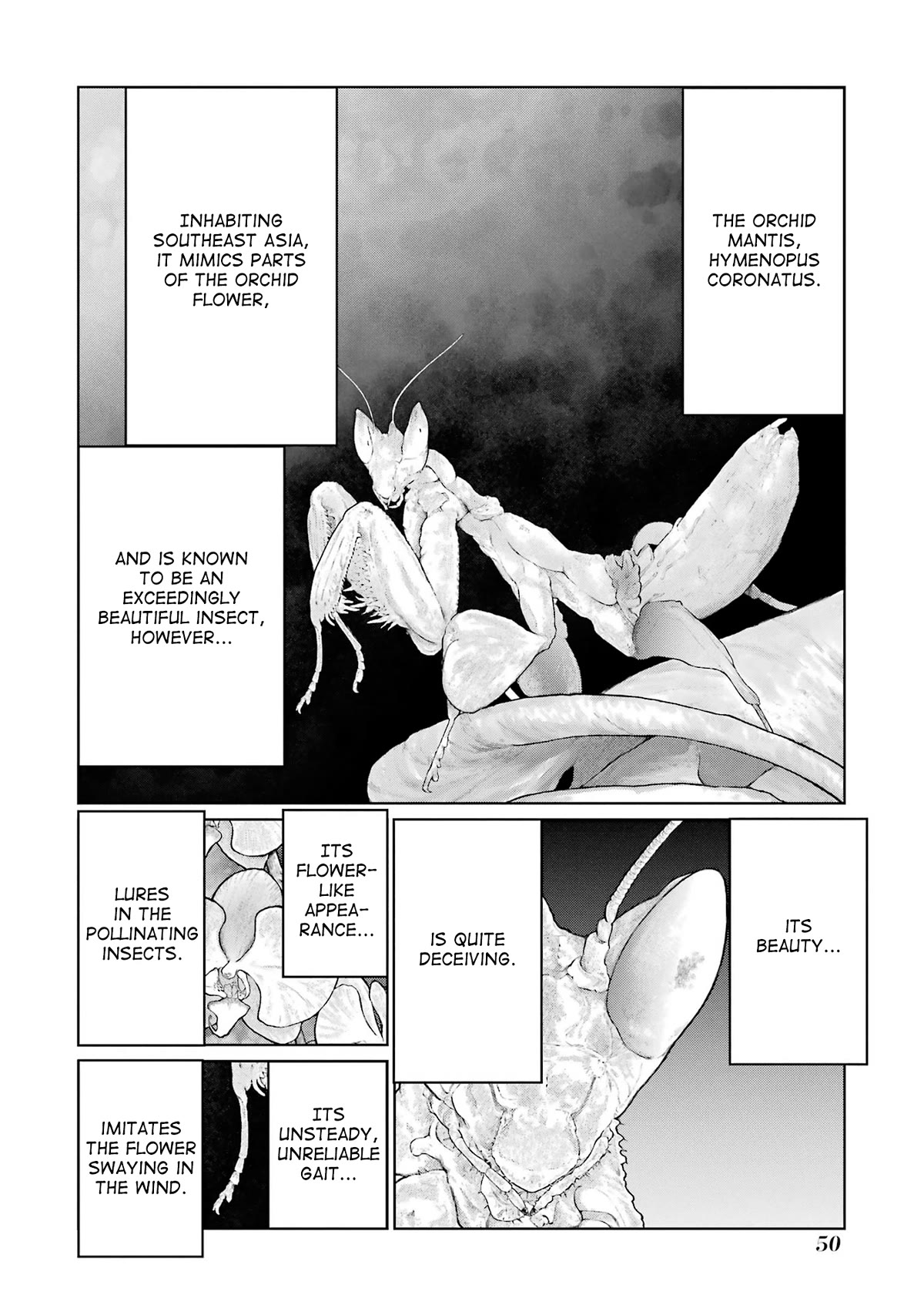 Blattodea Chapter 15 - Page 10