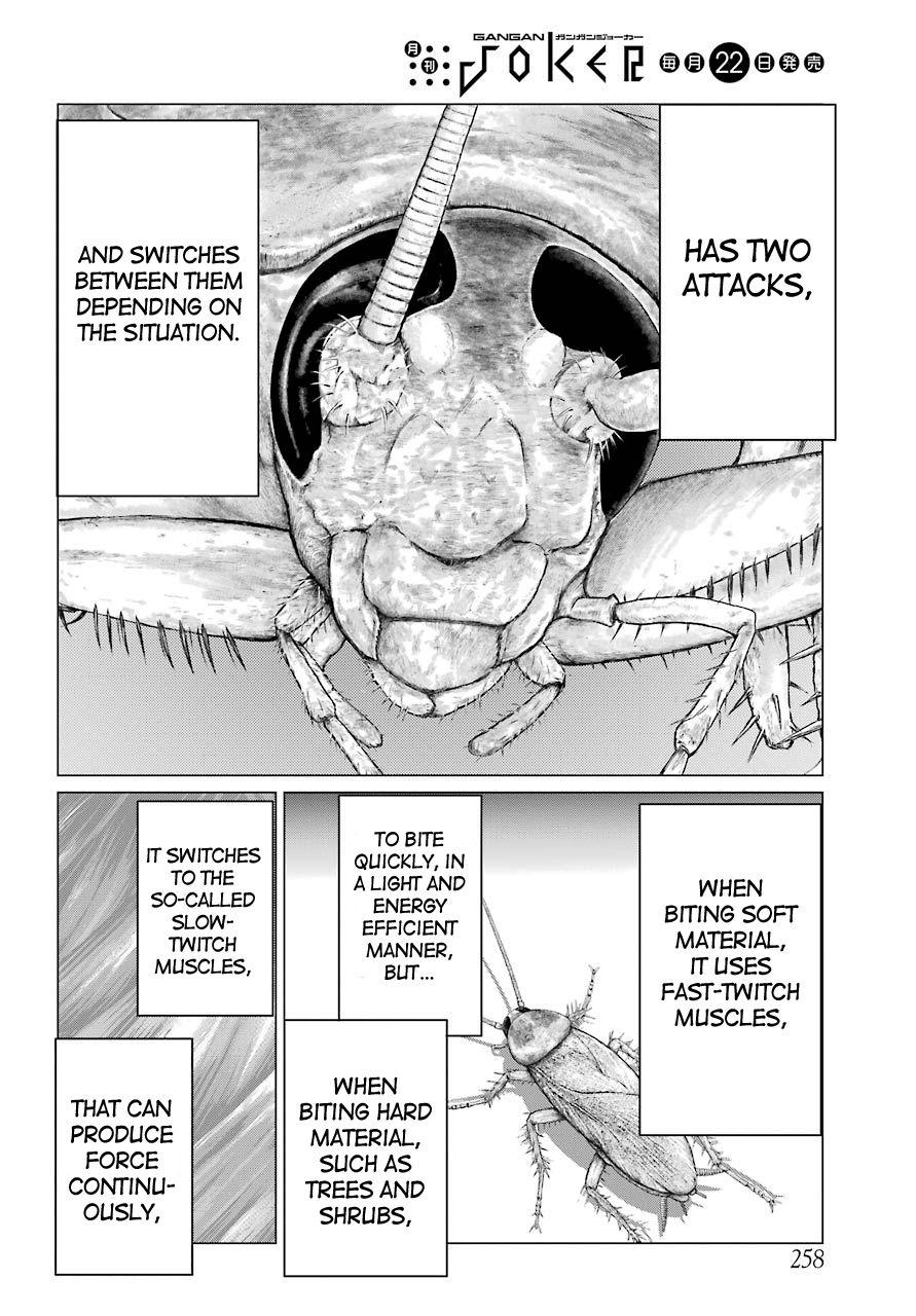Blattodea Chapter 2 - Page 27