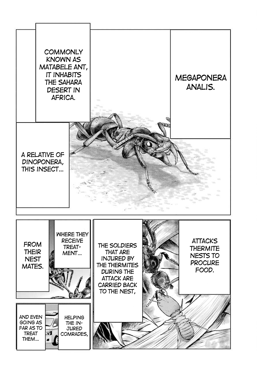 Blattodea Chapter 4 - Page 31