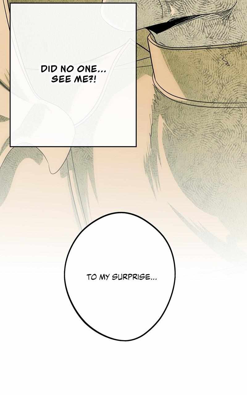 Blinded by the Setting Sun Chapter 135 - Page 41