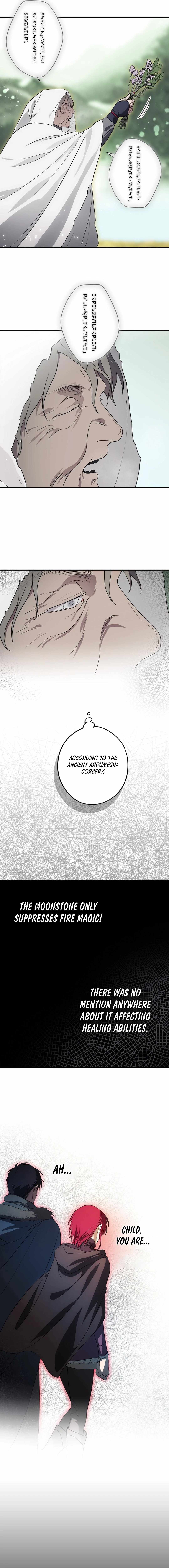Blinded by the Setting Sun Chapter 181 - Page 5