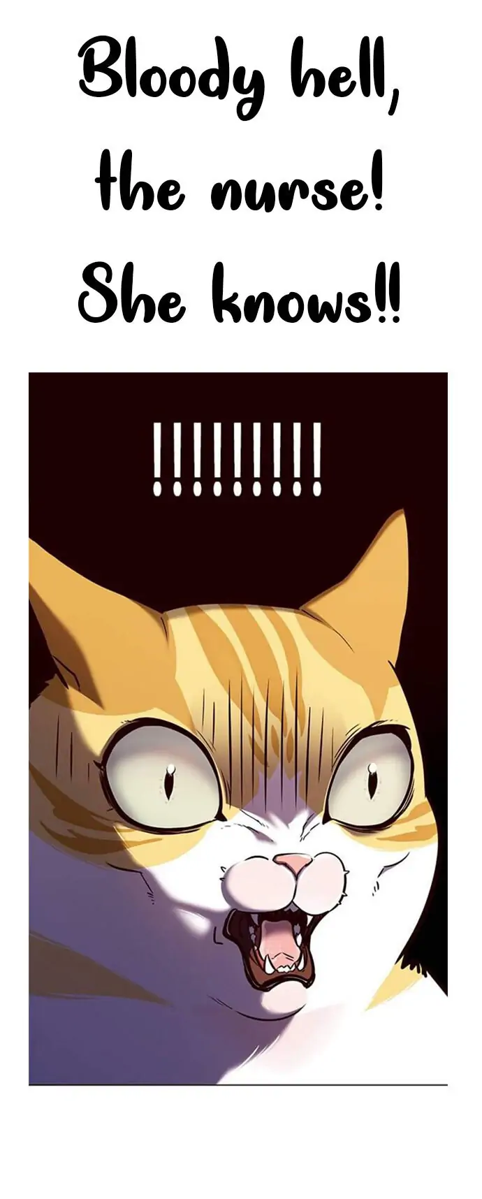 Bokutoku! Nyuuin Seikatsu Chapter 12 - Page 19