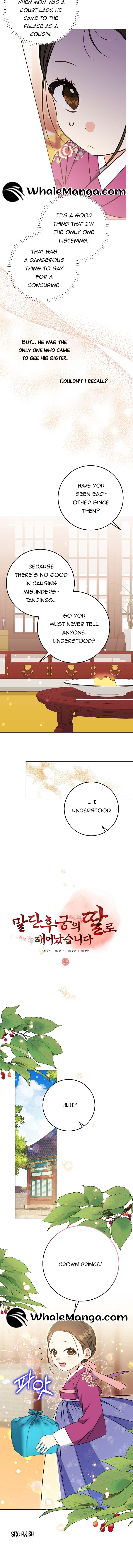 Born as the Daughter of a Lowly Concubine Chapter 25 - Page 3